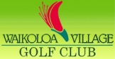 Waikoloa Village Golf Club